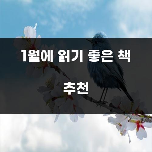 1월에 읽기 좋은 책 추천