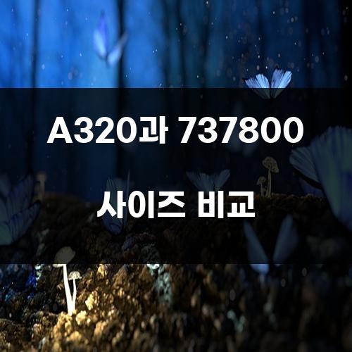 A320과 737800 사이즈 비교