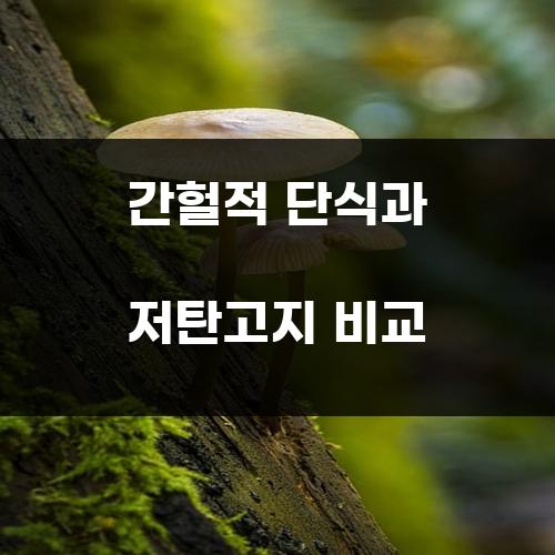 간헐적 단식과 저탄고지 비교