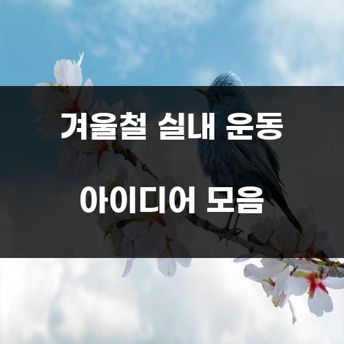 겨울철 실내 운동 아이디어 모음