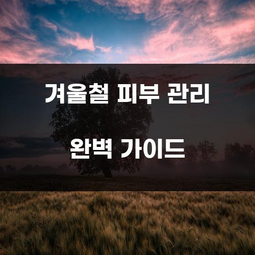 겨울철 피부 관리 완벽 가이드