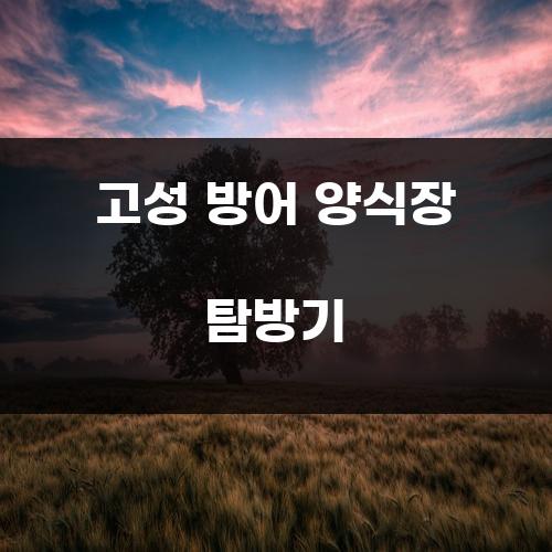 고성 방어 양식장 탐방기