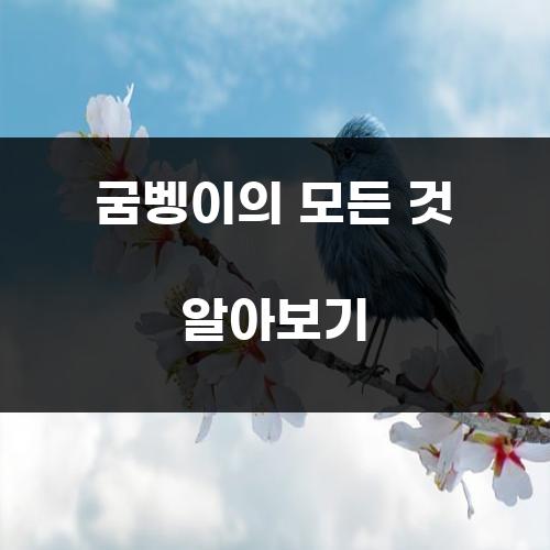 굼벵이의 모든 것 알아보기