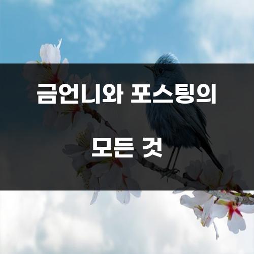 금언니와 포스팅의 모든 것