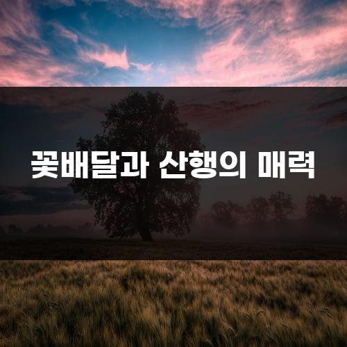 꽃배달과 산행의 매력