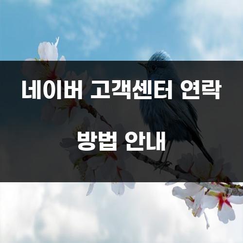 네이버 고객센터 연락 방법 안내