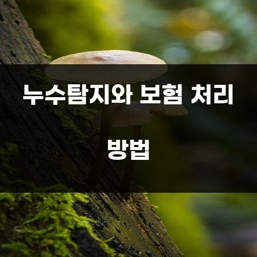 누수탐지와 보험 처리 방법