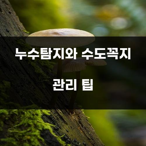 누수탐지와 수도꼭지 관리 팁