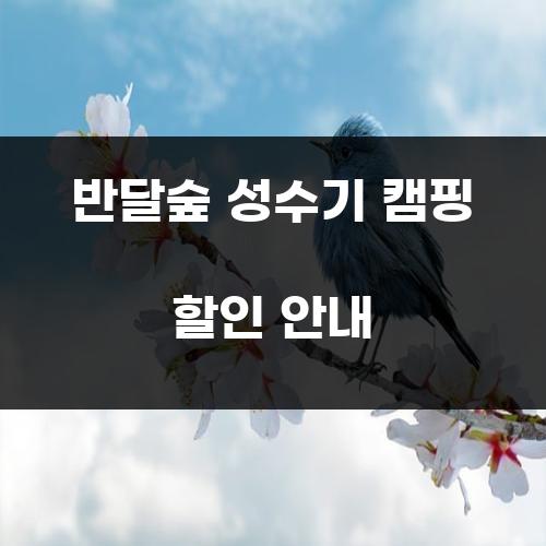 반달숲 성수기 캠핑 할인 안내