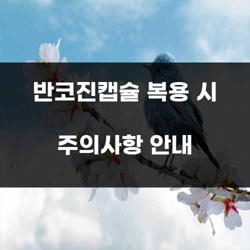 반코진캡슐 복용 시 주의사항 안내