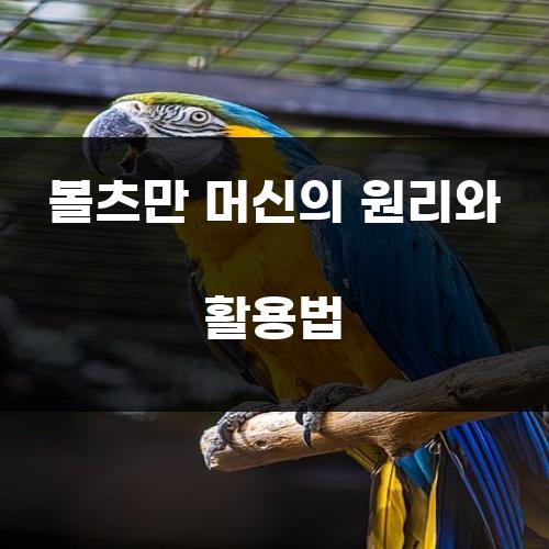 볼츠만 머신의 원리와 활용법