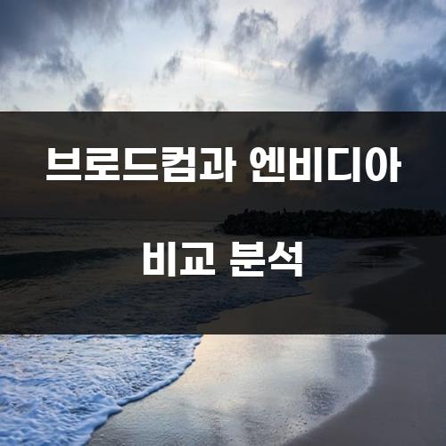 브로드컴과 엔비디아 비교 분석