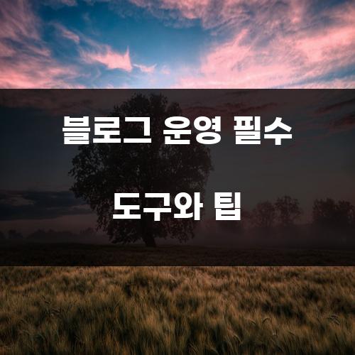 블로그 운영 필수 도구와 팁