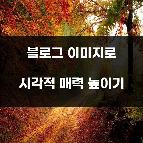 블로그 이미지로 시각적 매력 높이기