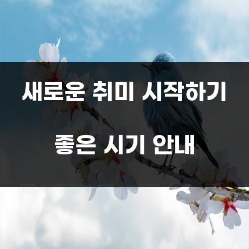 새로운 취미 시작하기 좋은 시기 안내