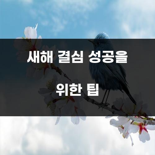 새해 결심 성공을 위한 팁