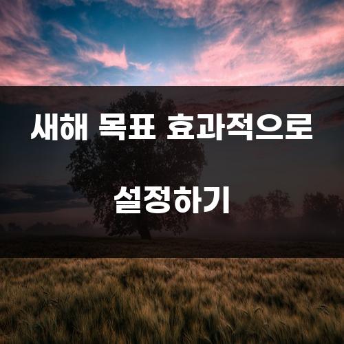 새해 목표 효과적으로 설정하기