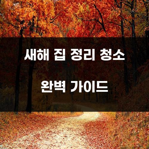 새해 집 정리 청소 완벽 가이드