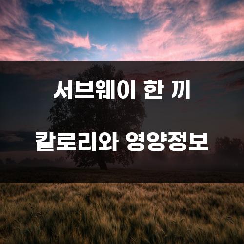 서브웨이 한 끼 칼로리와 영양정보