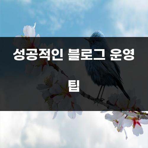 성공적인 블로그 운영 팁