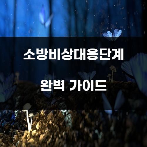 소방비상대응단계 완벽 가이드