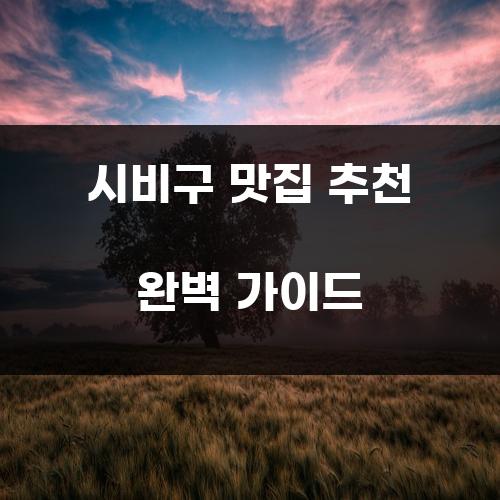 시비구 맛집 추천 완벽 가이드