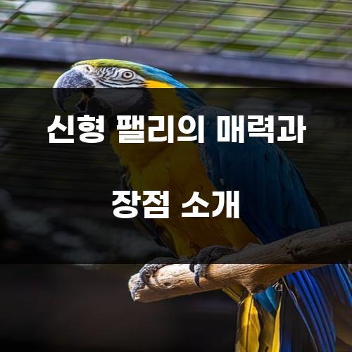 신형 팰리의 매력과 장점 소개