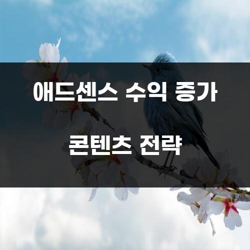 애드센스 수익 증가 콘텐츠 전략