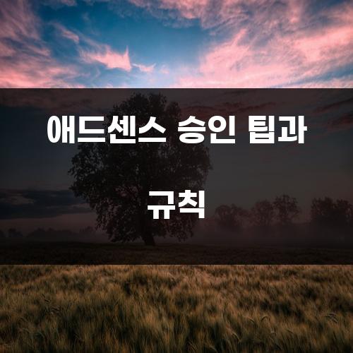 애드센스 승인 팁과 규칙