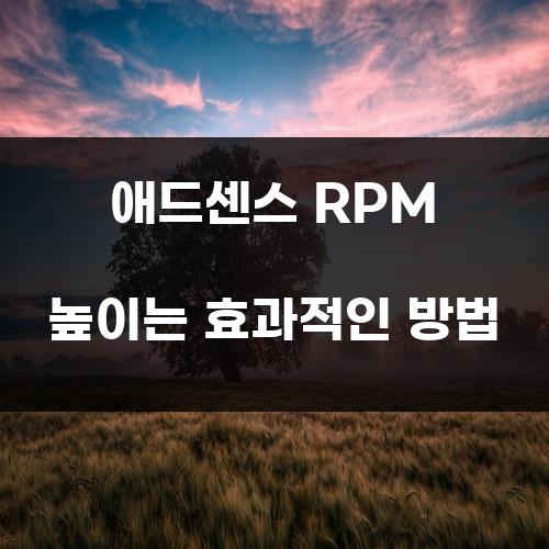 애드센스 RPM 높이는 효과적인 방법