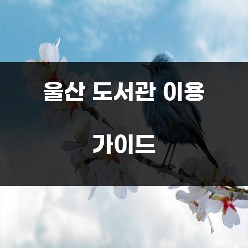 울산 도서관 이용 가이드