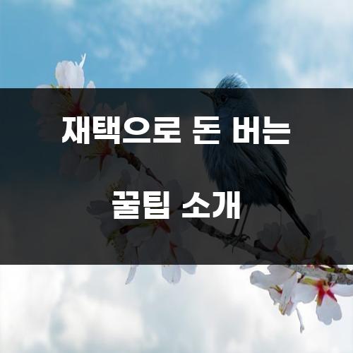 재택으로 돈 버는 꿀팁 소개