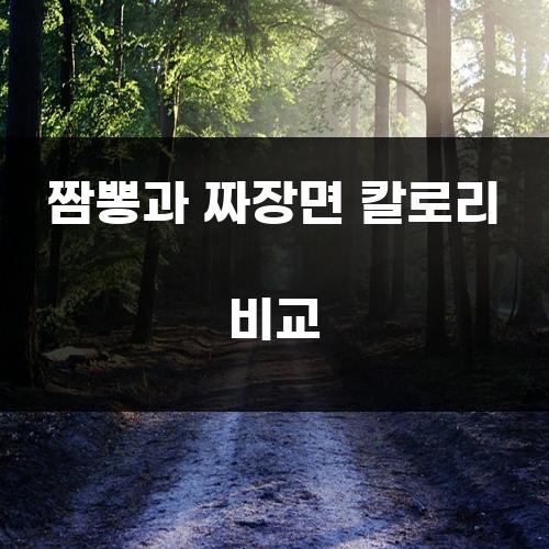 짬뽕과 짜장면 칼로리 비교