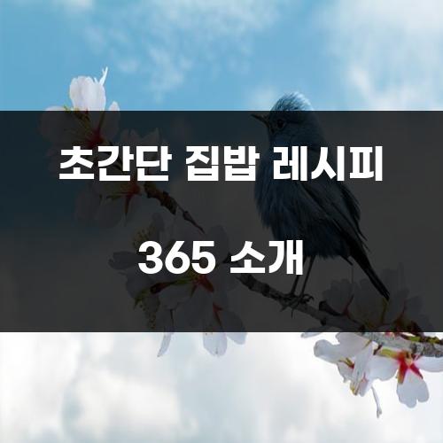 초간단 집밥 레시피 365 소개