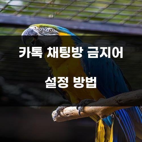 카톡 채팅방 금지어 설정 방법