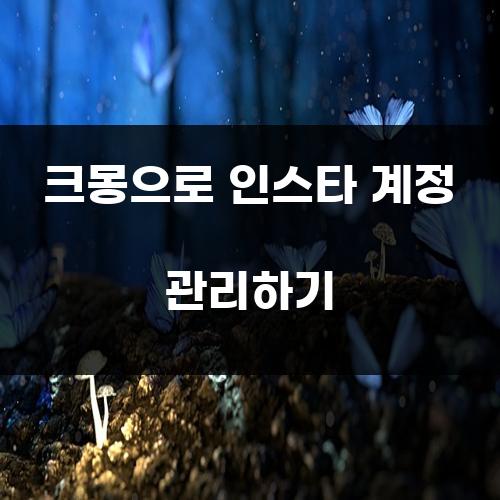 크몽으로 인스타 계정 관리하기