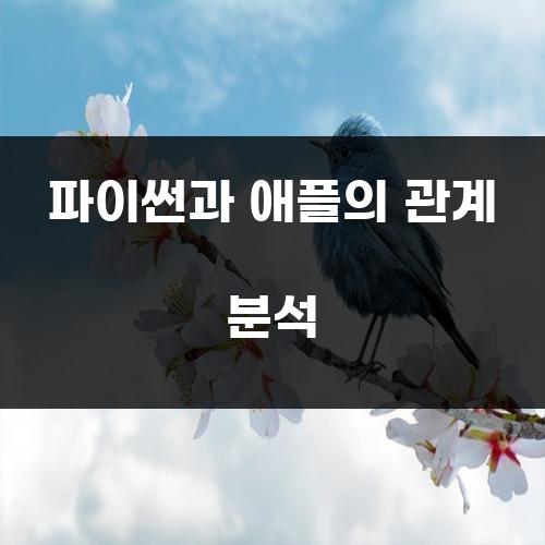 파이썬과 애플의 관계 분석