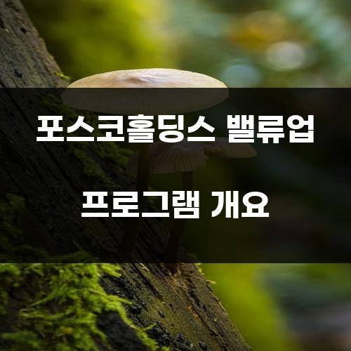 포스코홀딩스 밸류업 프로그램 개요