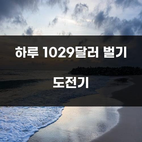 하루 1029달러 벌기 도전기