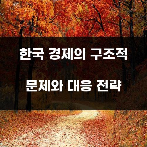 한국 경제의 구조적 문제와 대응 전략