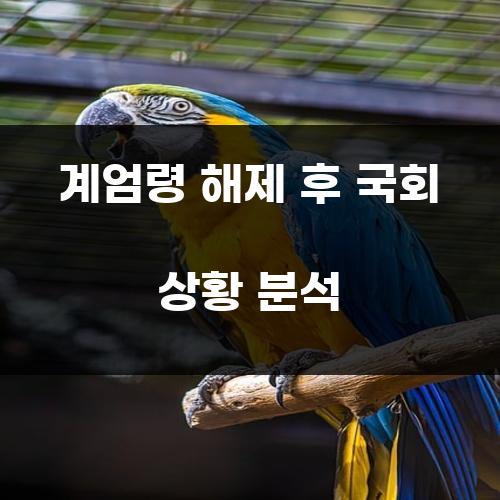 계엄령 해제 후 국회 상황 분석