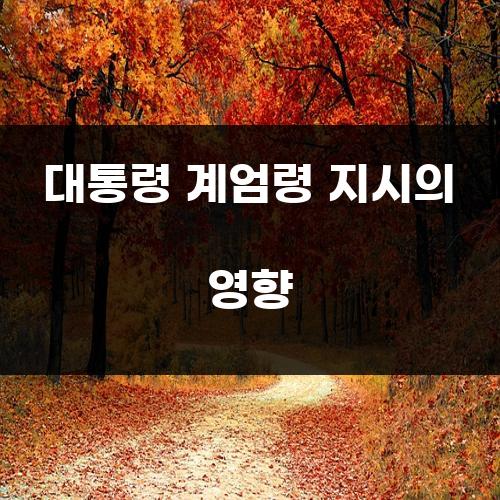 대통령 계엄령 지시의 영향