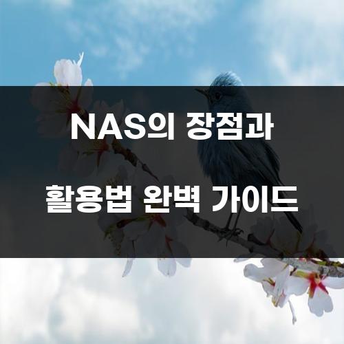 NAS의 장점과 활용법 완벽 가이드